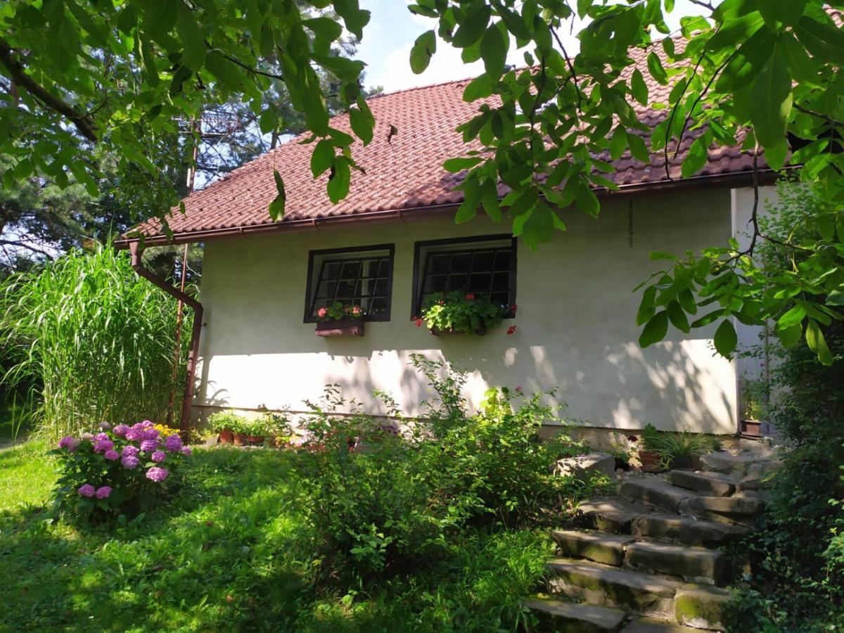 Ubytovani V Ceskem Raji Hotel Holín Exterior foto